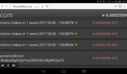 Заработок биткоин на спортивных ставках без рисков